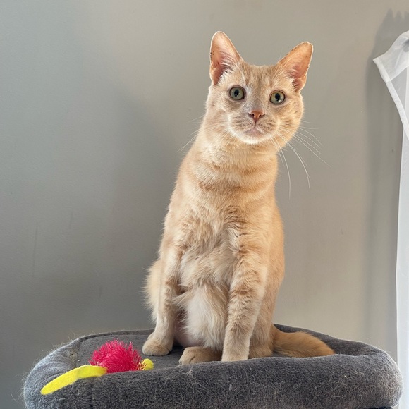 Meet your Posher, Emily - Picture 2 of 5